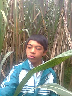 Nam c0n